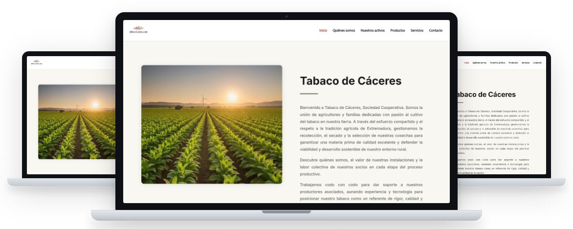 Tabaco de Cáceres